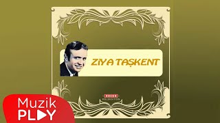 Gökyüzünde Yalnız Gezen Yıldızlar  Ziya Taşkent Official Audio [upl. by Cornela367]