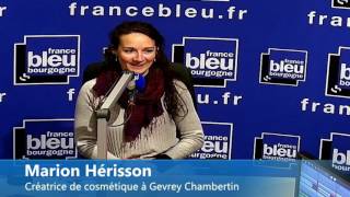 Invité de France Bleu Bourgogne  18 Avril 2017 [upl. by Itagaki]