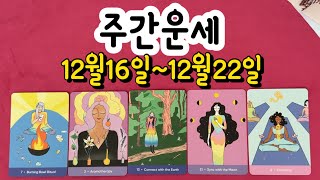 타로주간운세 2024년 12월 셋째주 12월16일12월22일 땡큐타로 주간운세입니다 [upl. by Robb252]