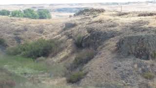 CHANNELED SCABLANDS SPRAGUE LAKE REST AREA i90 SW OF SPOKANE WA [upl. by Ennyletak494]