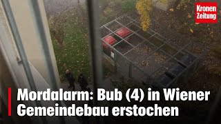 Mordalarm Bub 4 in Wiener Gemeindebau erstochen  kronetv NEWS [upl. by Kaleena]