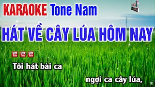 Hát Về Cây Lúa Hôm Nay Karaoke Tone Nam 2024  Nhạc Sống Thanh Ngân [upl. by Eirena]