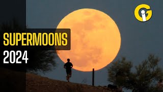 When and how to watch Supermoon 2024  Complete Guide [upl. by Blinni]