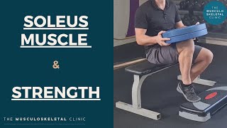 Strengthening the soleus muscle and why you should do it heavy  The MSK Physio [upl. by Dom]