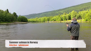 Salmon fishing River Orkla [upl. by Nhor]