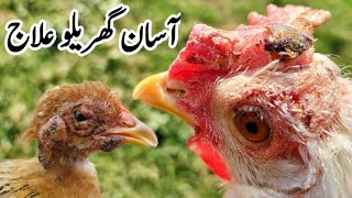 Natural Antifungal for Chickens  Antifungal Foods for Poultry  Dr ARSHAD [upl. by Jessabell215]