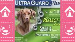 Hartz Flea amp Tick for Dogs [upl. by Cassella827]