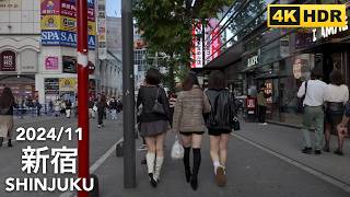 Weekend Walk in Tokyo From Shinjuku to ShinOkubo  202411 [upl. by Anitrak]