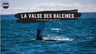 LA VALSE DES BALEINES  TADOUSSAC CANADA [upl. by Gustav945]