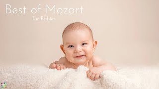 Best of Mozart for Babies Brain Development  Classical Piano for Better Memory amp Cognitive Skills [upl. by Nahtad]