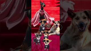 Red Carpet Dogs at Cannes Film Festival 2024 shortsDogDobermanPinscherDobermann [upl. by Ruff]