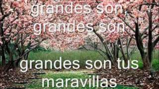 GRANDES SON TUS MARAVILLAS [upl. by Akinimod798]