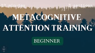 Beginner 1  Attention Training Technique ATT for Metacognitive Therapy MCT [upl. by Dusza]