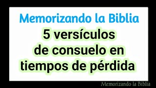 5 textos bíblicos de consuelo en tiempos de pérdida fortaleza en la aflicción [upl. by Crystie]