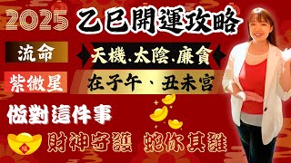 紫微斗數｜2025乙巳流年開運攻略｜流命天機太陰廉貪｜紫微在子午、丑未宮｜財神守護 蛇你其誰 [upl. by Immac561]