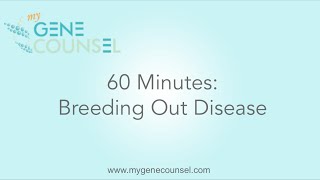 60 Minutes Breeding Out Disease  My Gene Counsel [upl. by Weeks]