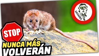 ❌​🐭​Mejor Forma de AHUYENTAR y ELIMINAR Plagas de RATAS y RATONES by mixim89 [upl. by Luanne]