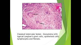 Mycobacteria [upl. by Halyak]