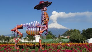 Volcán Popocatépetl y activo desde Atlixco Pueblo Mágico [upl. by Stuckey]