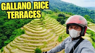 PANORAMIC Rice Terraces in La Union [upl. by Marlow]