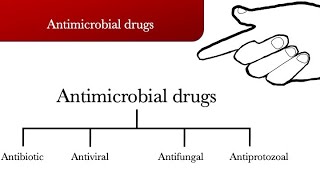 Antimicrobial drugs  antibiotic antiviral antifungal and antiprotozoal [upl. by Dallman]