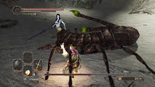 Dark Souls 2  No Bonfire amp No Death Run  Easy Guide UPDATED  Part 37 [upl. by Hpesojnhoj]