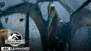 Jurassic Park III Raptor ambush HD CLIP [upl. by Jeddy]