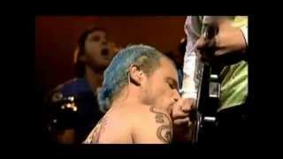 red hot chili peppers cabron sep 29 2002 mexico rare [upl. by Netniuq]