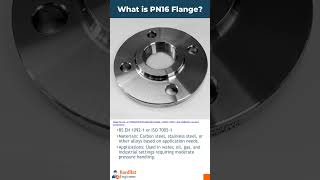 What is the PN16 Flange [upl. by Uhthna]