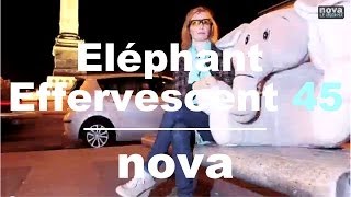 LEléphant Effervescent  Episode 45 • Nova [upl. by Sivi]