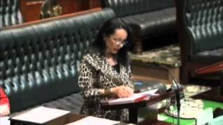 Ms LINDA BURNEY Canterbury speaks in support of NSW ASSIs Recognition [upl. by Neils745]