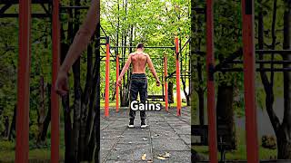 The gains calisthenics streetworkout workout training hypertrophy [upl. by Airb]