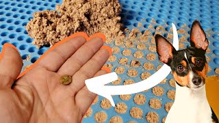 STOP throwing  AWAY Easy HOMEMADE dog training TREATS [upl. by Ygief521]