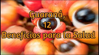 Guaraná 12 Beneficios para la Salud [upl. by Pattani]