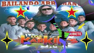 LOS KARKIS MIX [upl. by Alegnave]