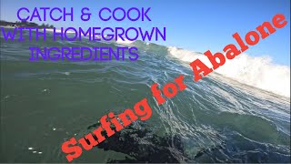 Catch amp Cook Surfing for Abalone [upl. by Zinah]