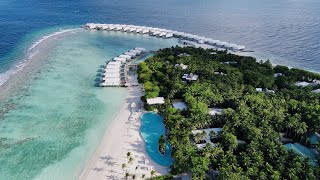 Amilla Maldives one of the largest luxury resorts in the Maldives 🇲🇻 [upl. by Cotterell]