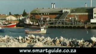 Lamberts Bay  West Coast South Africa [upl. by Laius]