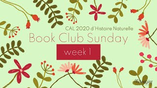 Scheepjes CAL 2020  dHistoire Naturelle  Book Club Sunday  Week 1 [upl. by Mathre41]