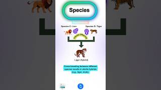 Species Concept  All about the Species [upl. by Ativ]