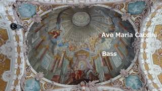 Ave Maria Caccini Bass Pno [upl. by Emelen]