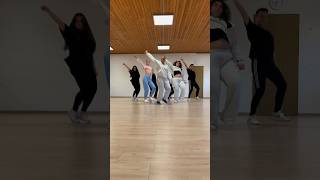 LÄCHEL DOCH MAL 😬  dance challenge by Fatou Camara  ShirinDavid  mdstudios [upl. by Dennet]