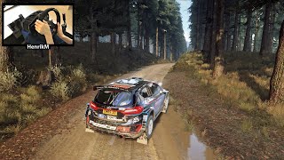 Ford Fiesta R5 New  DiRT Rally 20 [upl. by Aman]