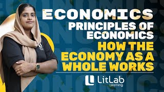 HOW THE ECONOMY AS A WHOLE WORKS  ECONOMICS  FYUG  LitLab Learning [upl. by Annwahsal738]