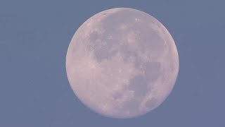 October supermoon looms over Atlanta sunrise  Raw chopper video [upl. by Ainollopa]