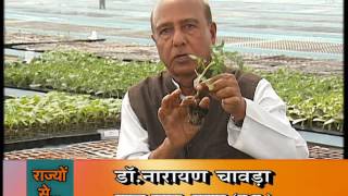 KRISHI DARSHAN NARROWCASTING  TAMATAR KI GRAFTING VIDHI SE LABHDAYAK KHETI DT14032016 [upl. by Oribelle]