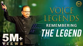 Remembering the Legend  SP Balasubrahmanyam  Voice of Legends  Noise and Grains [upl. by Sackman]