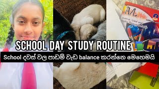 STUDY VLOG 📚  school day study routine  තවත් ඉස්කෝලේ දවසක් 🌻😍 studyvlog study viral [upl. by Netta62]