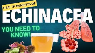 Unbelievable Health Benefits of Echinacea You Need to Know [upl. by Noryb418]