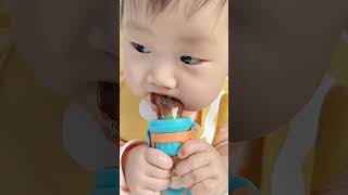 Baby Fruit Pacifier Feeder for 6 month old  Pacifier with Fruit Inside [upl. by Etnoj]